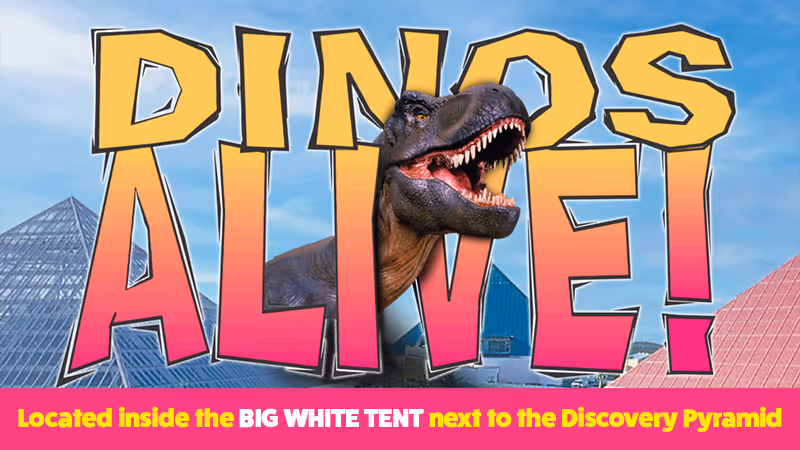 The pool at the Moody Gardens Hotel filled with hotel guests enjoying a sunny day out and the text Spring Sale 25% Off Best Available Rate