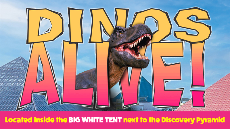 The pool at the Moody Gardens Hotel filled with hotel guests enjoying a sunny day out and the text Spring Sale 25% Off Best Available Rate