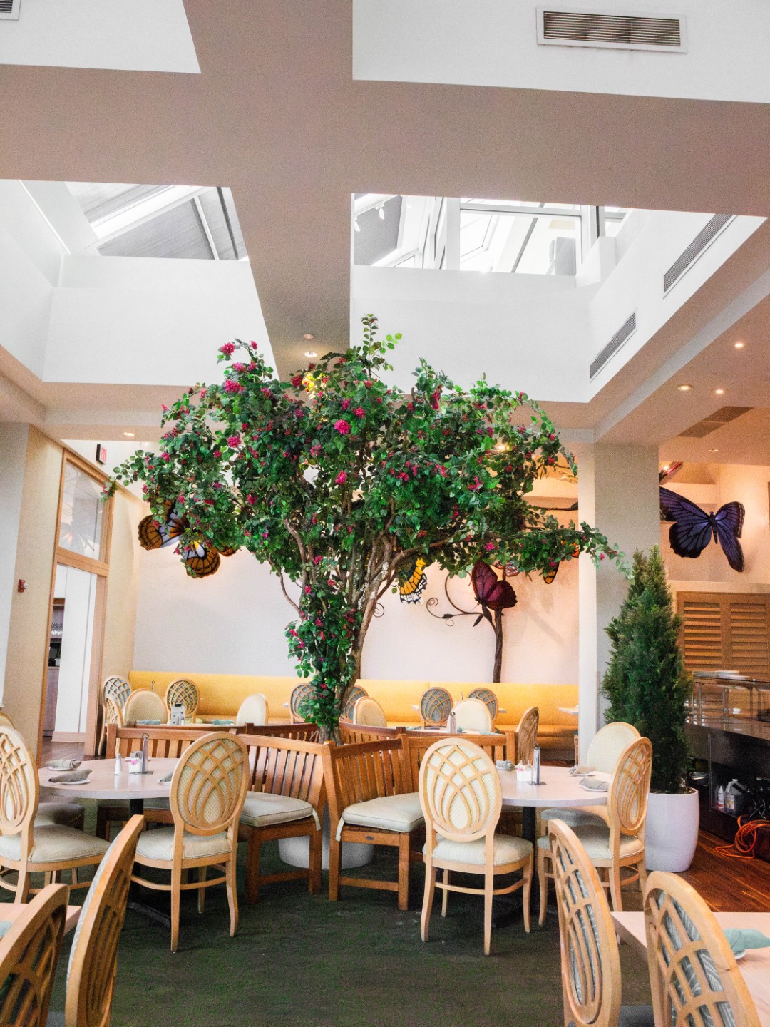 Café in the Park dining room with a flowering tree and yellow banquettes