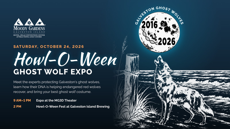 Howl-O-Ween Ghost Wolf Expo