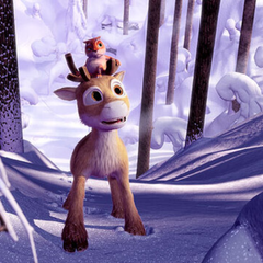 Sobík Niko: Cesta za polární záři