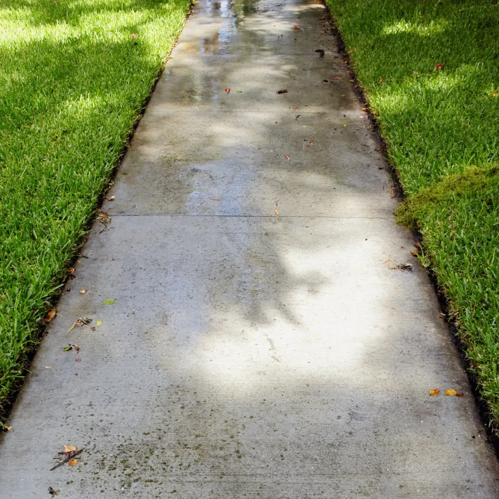 Enhancing Curb Appeal: The Role of Power Washing in Home Sales