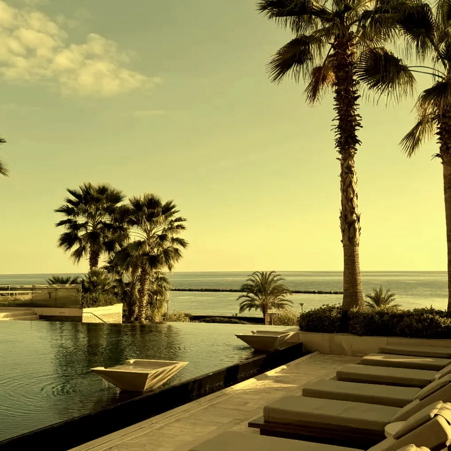 Palmen und Infinity-Pool am Meer