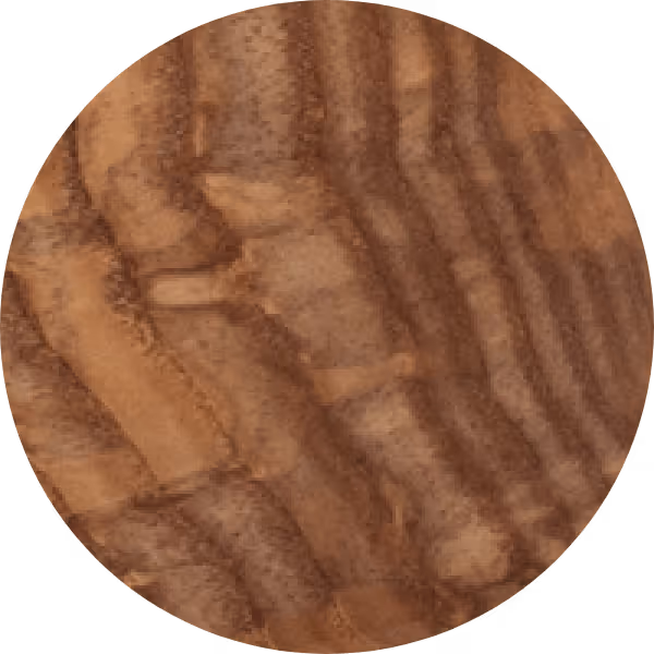 Oiled ash wood finish swatch for Anonymia furniture and homewares, close-up view