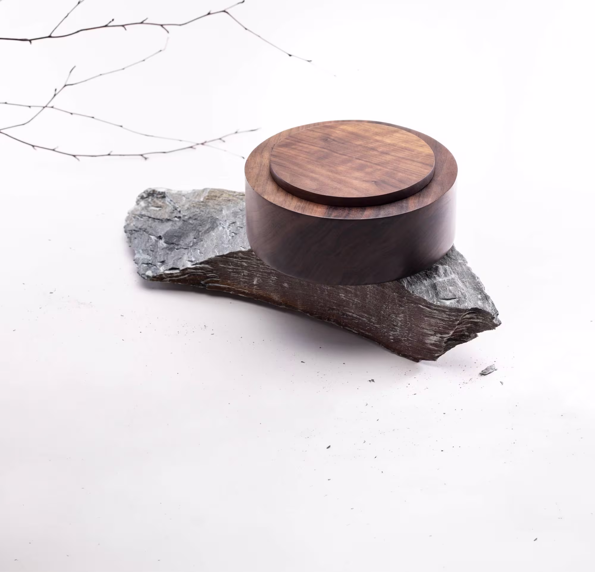 Anonymia pieces curated for design professionals