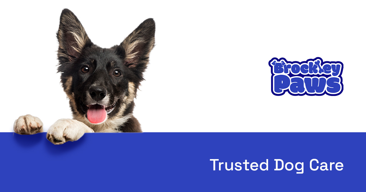 Black and tan dog with upright ears and tongue out peeking over a blue banner with text 'Trusted Dog Care' and Brockley Paws logo.