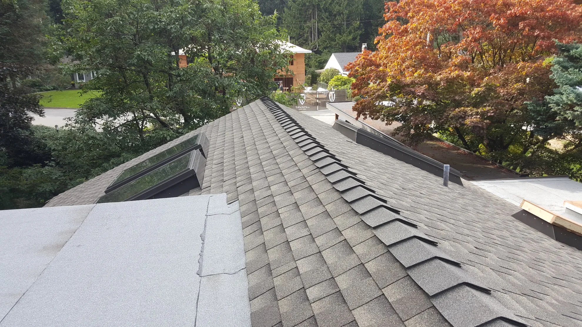 Asphalt shingle roof installed in Vancouver by Pro Torch Roofing