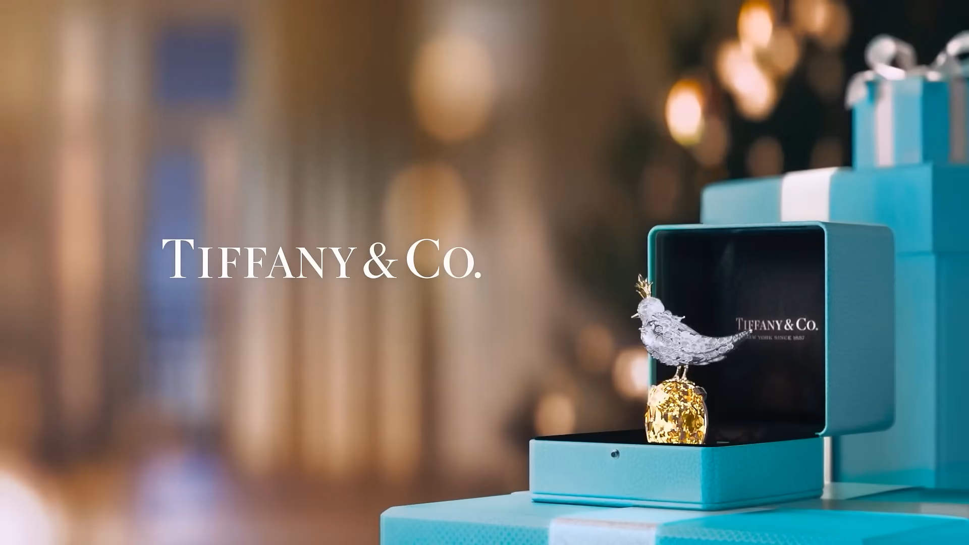 Case Study: Tiffany & Co. – The Beauty of Possibility