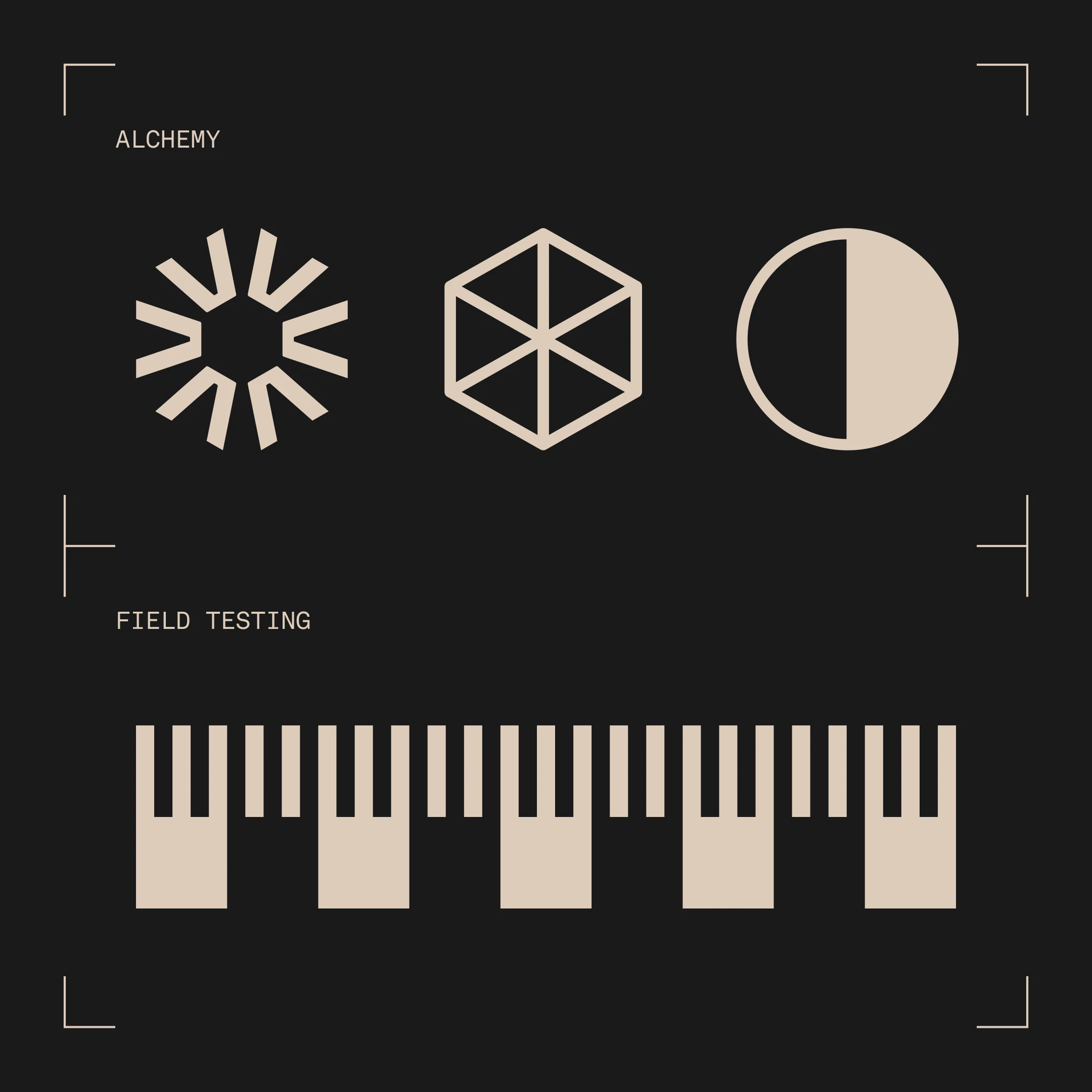 DAVY graphic design identity brand elements and field testing in action