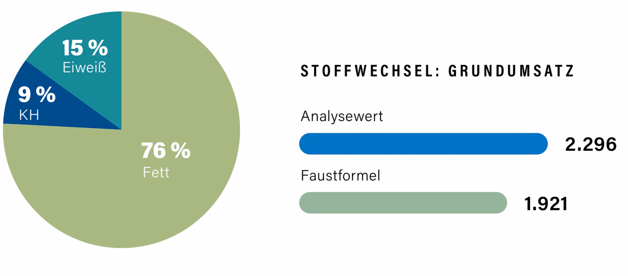 Illustration zum Thema Stoffwechsel