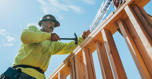 supply chain management