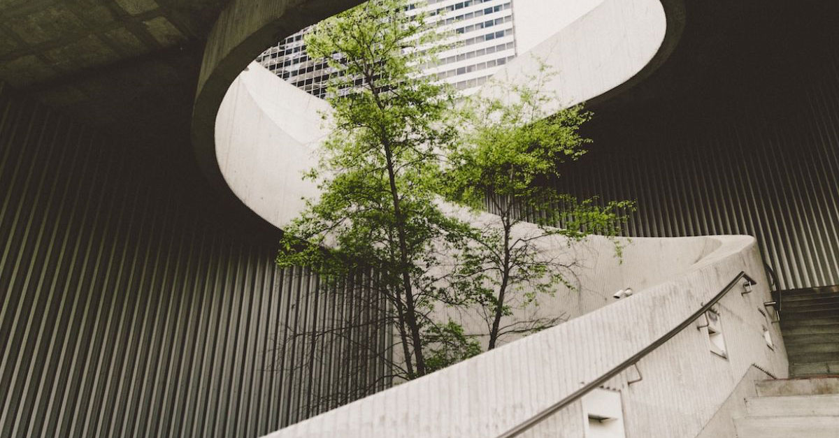 Sustainable Construction Tree in Building