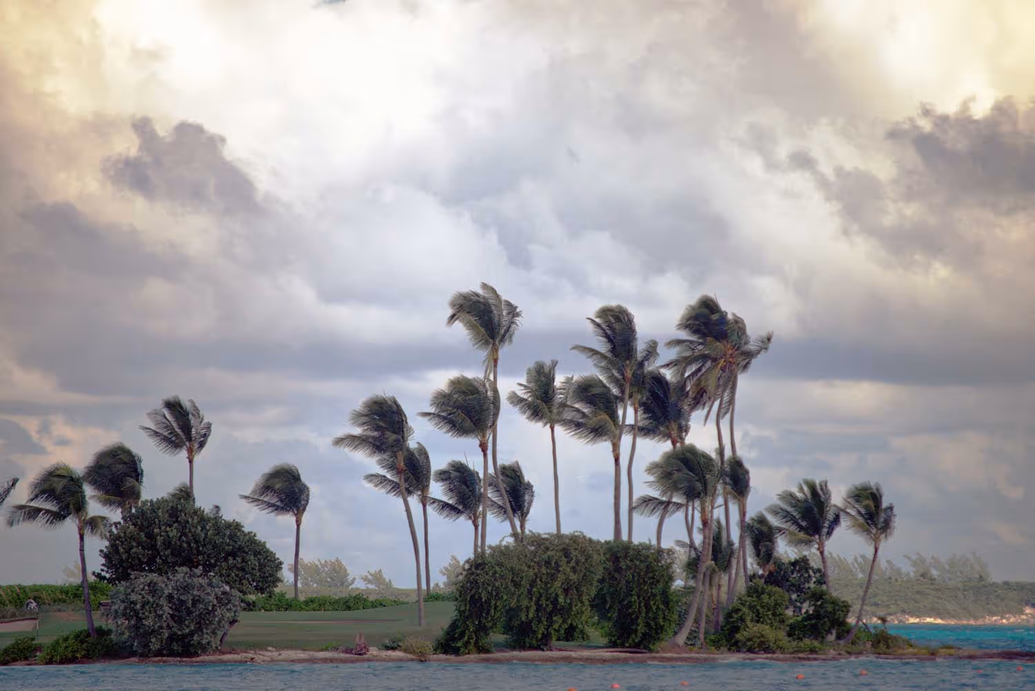 Aid for hurricane victims