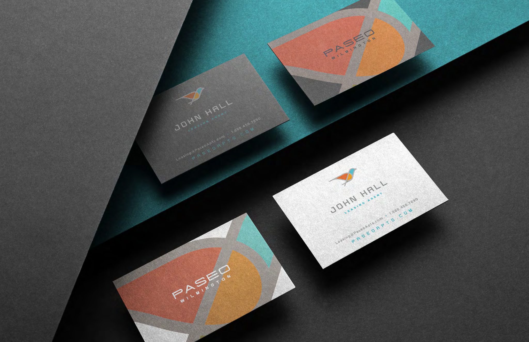 Paseo business cards and brand color system