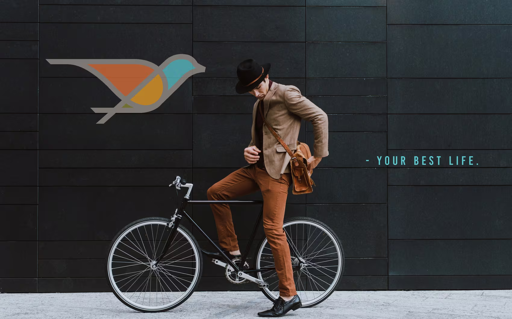 Paseo bird mark on a dark wall with the tagline