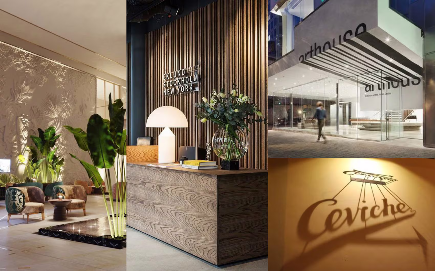 Paseo brand mood, arrival and reception