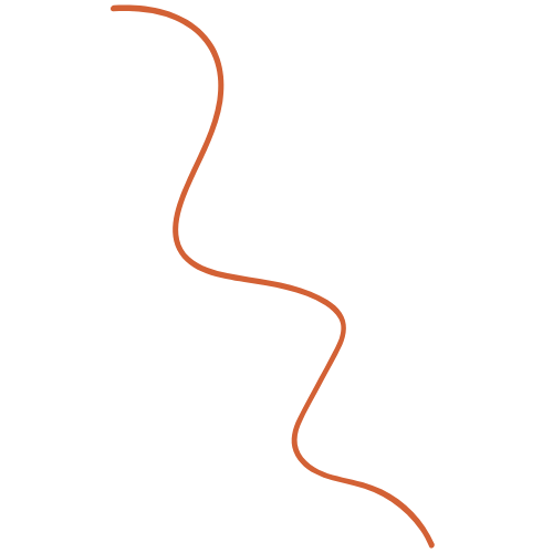 Orange Squiggly Line