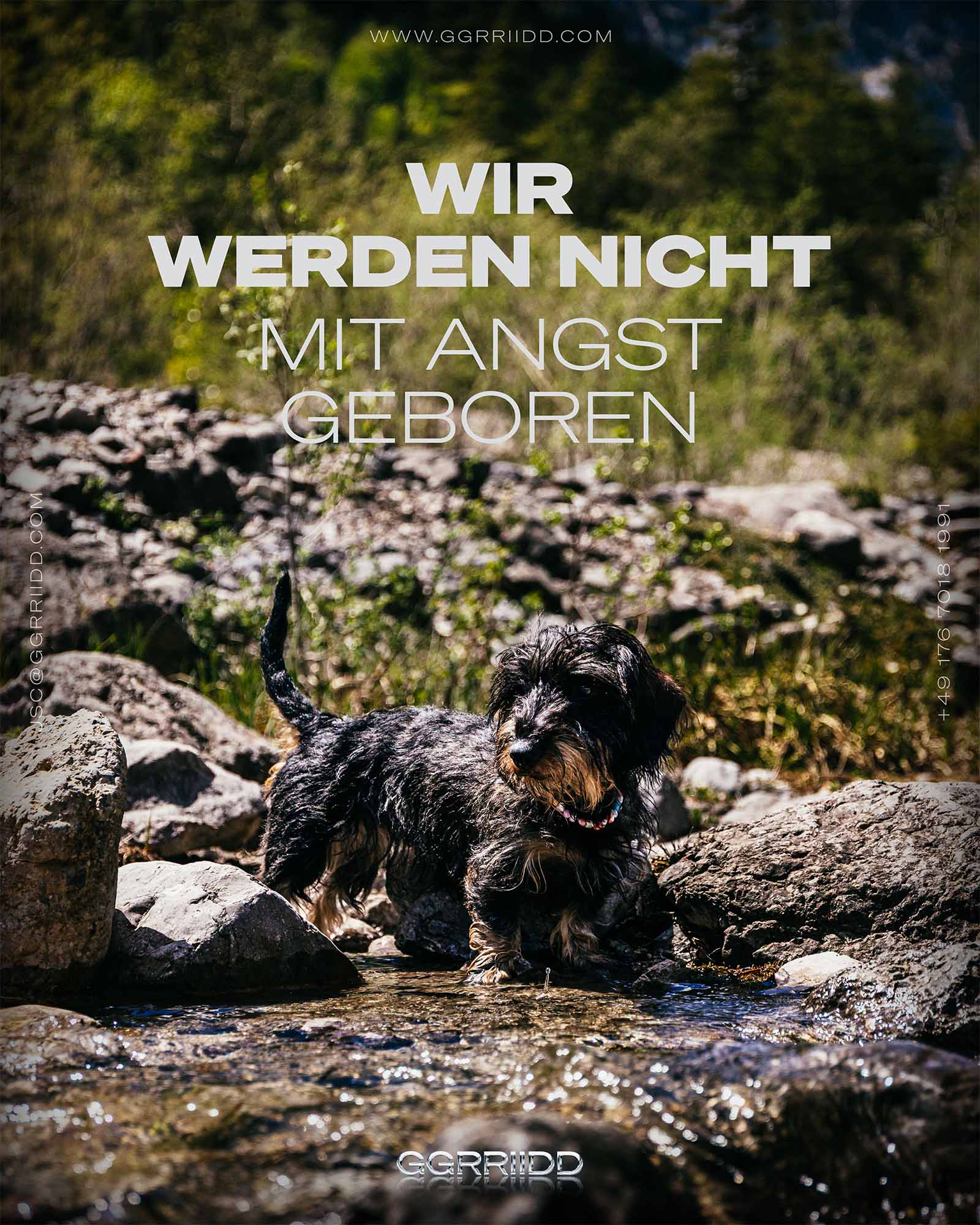 WIR WERDEN NICHT MIT ANGST GEBOREN.