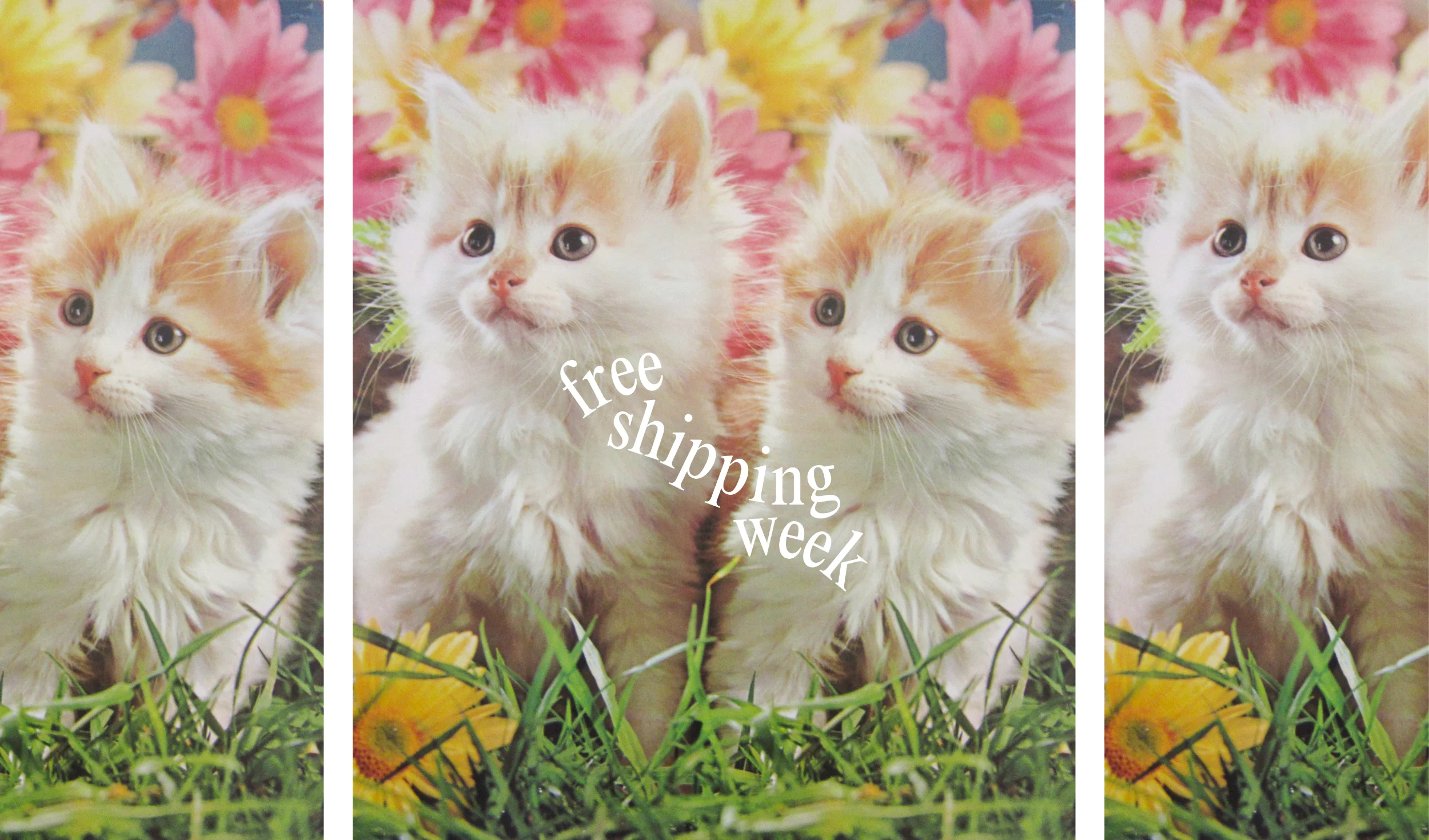 Dec. 15 to 19. More info: Deliveries page