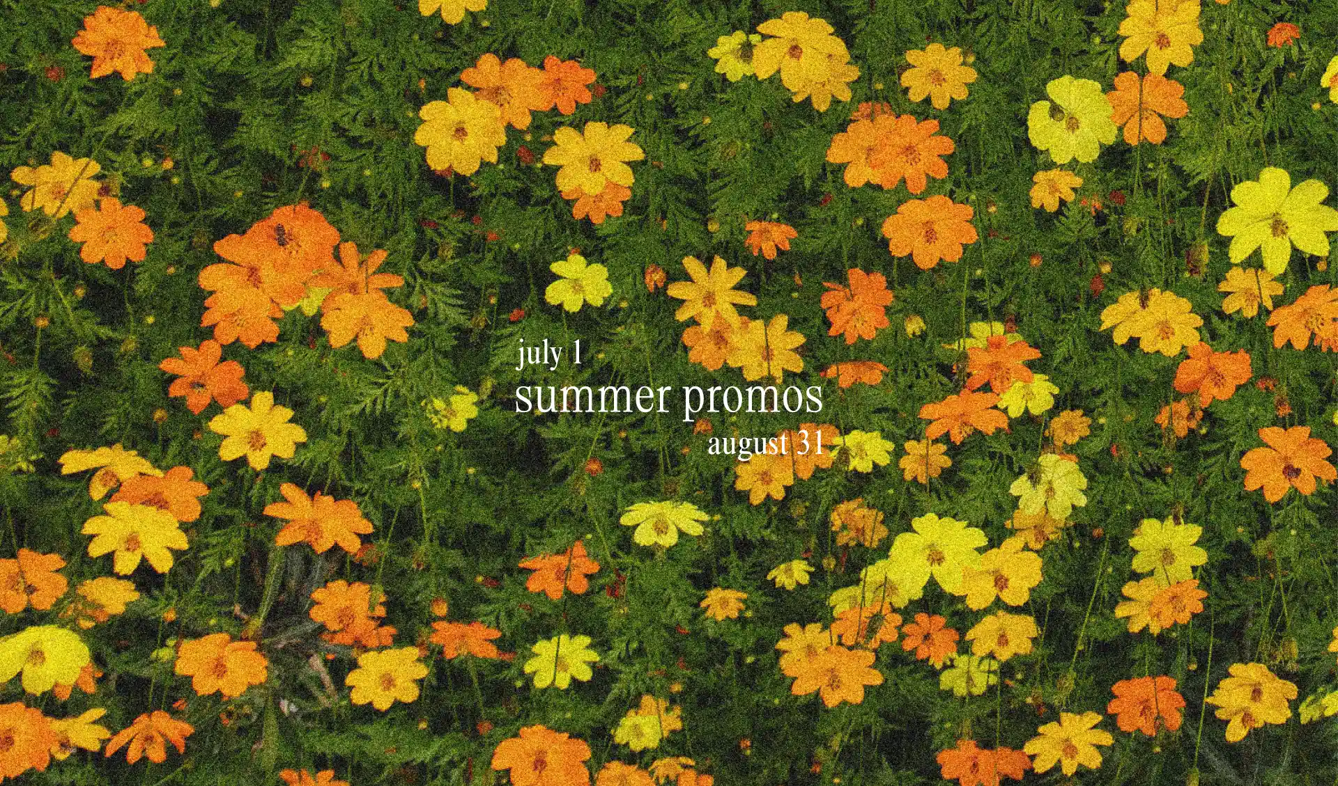 Summer discounts