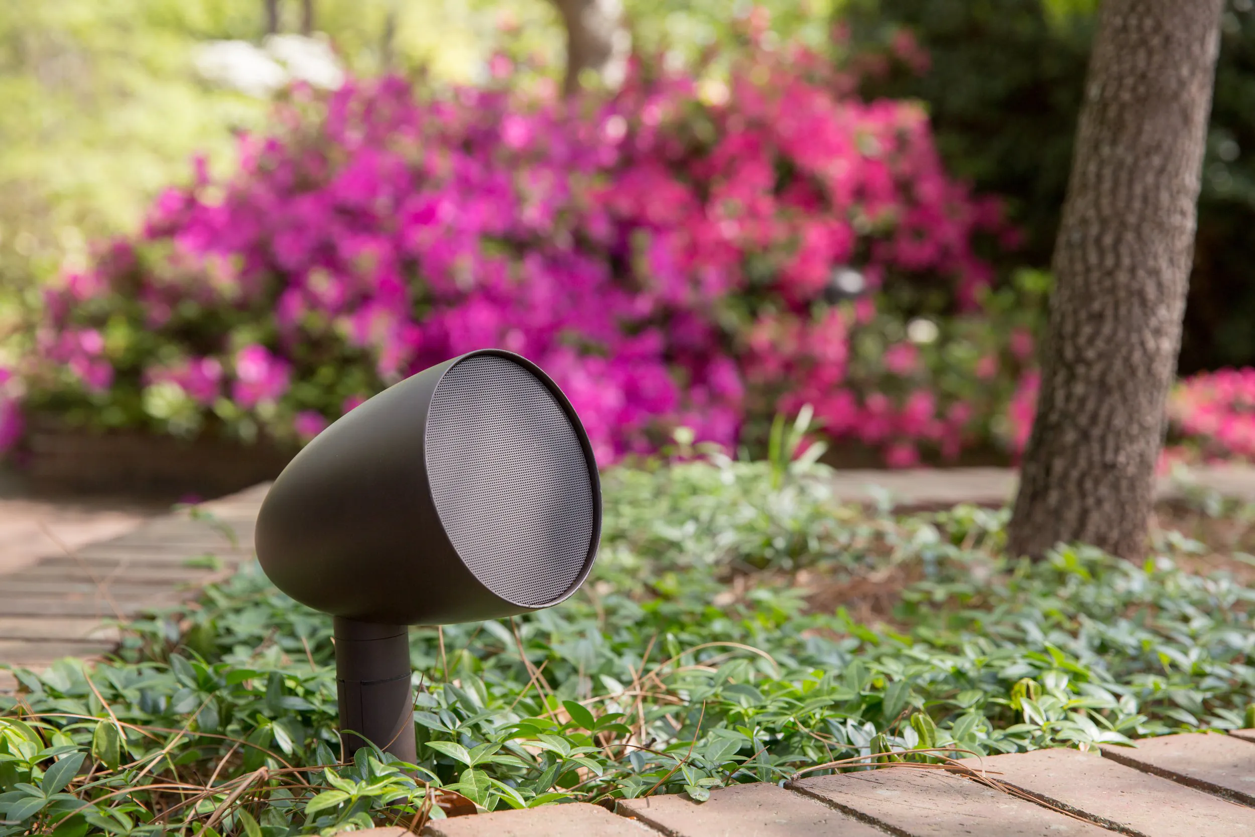 Enjoy 25% off your Outdoor Audio Installation