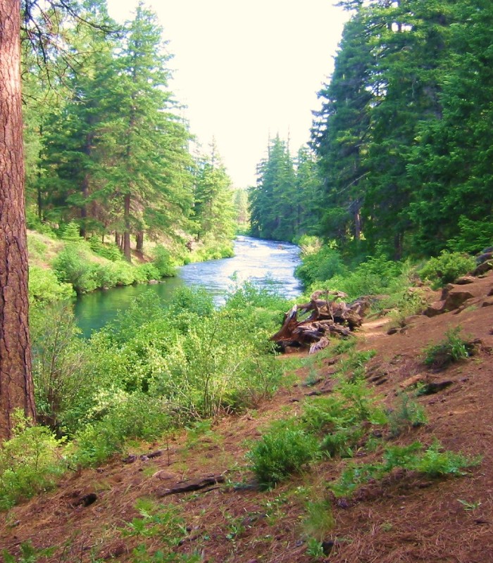 Camp Sherman