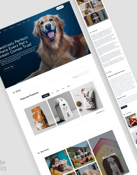 Landing page shot