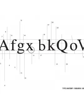 Typography
