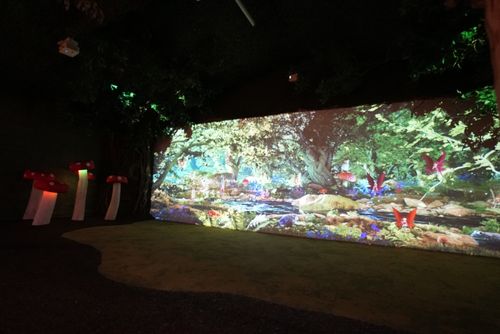 The Magical Wood image 6