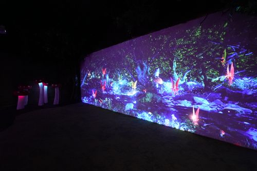 The Magical Wood image 3