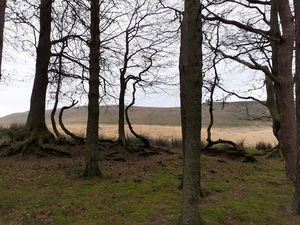 LOTR map, Aragorn, The One Ring, Tolkien map, Hobbits