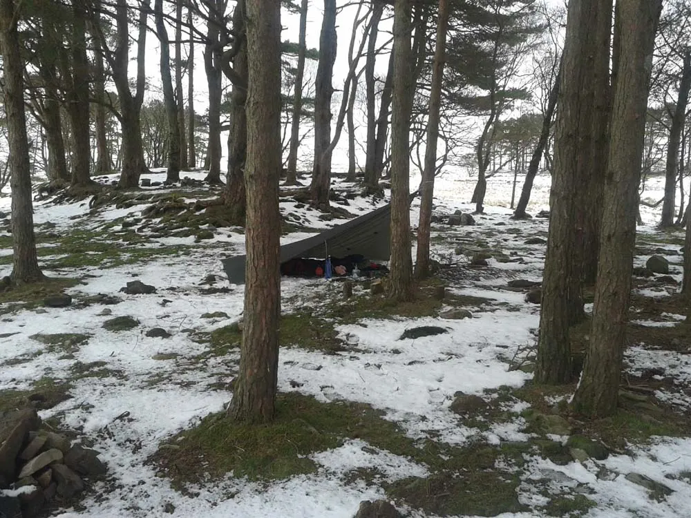 LOTR map, Treebeard, Celeborn