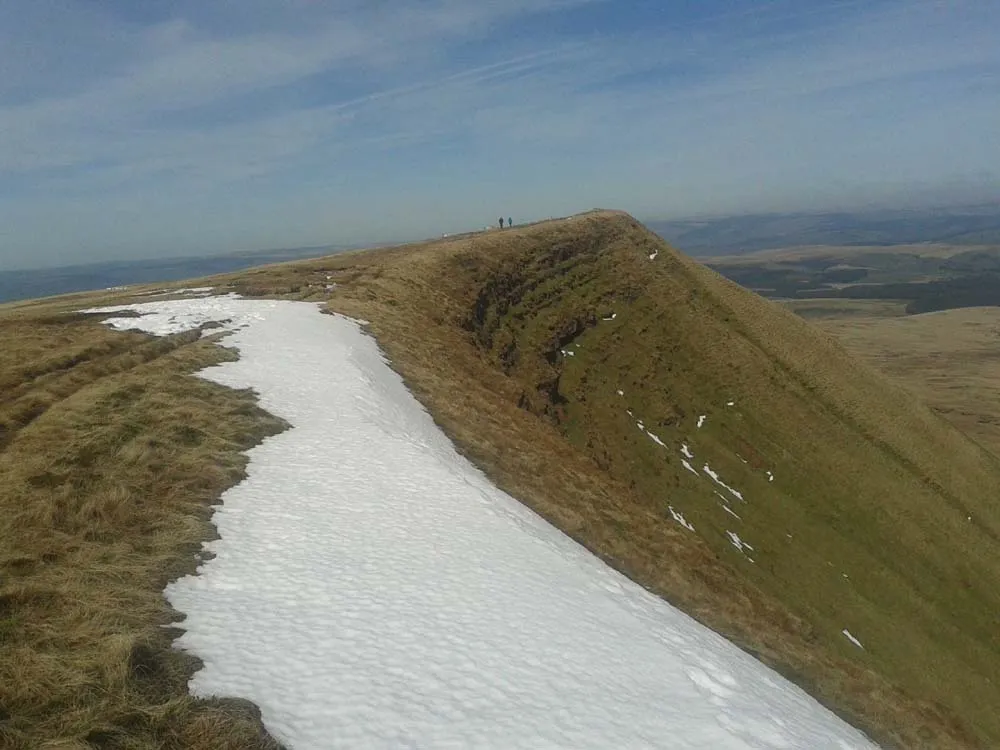 LOTR map, Treebeard, Celeborn.