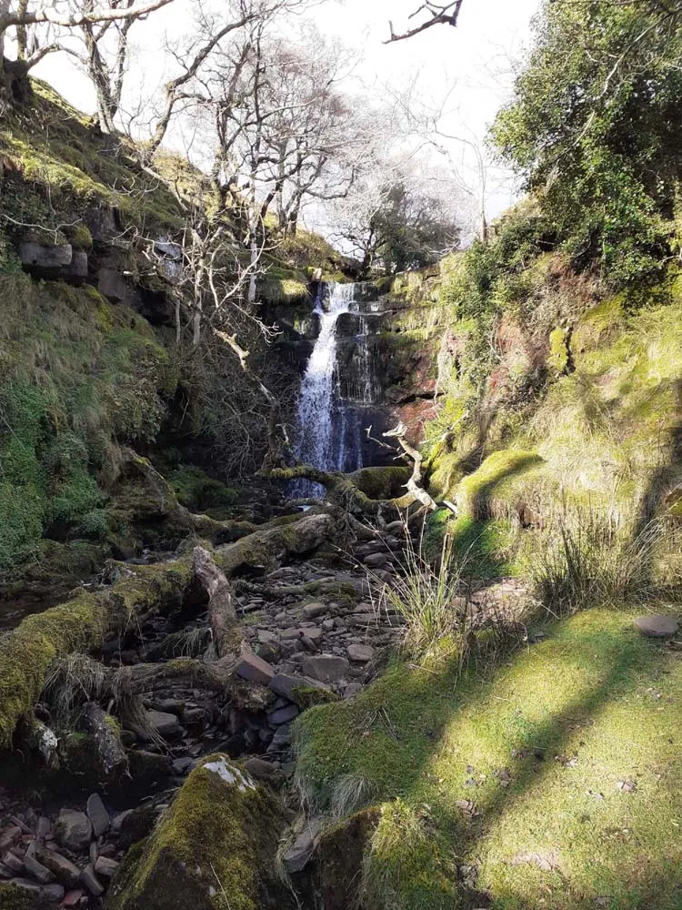 Tolkien's maps, The Shire, Peregrin