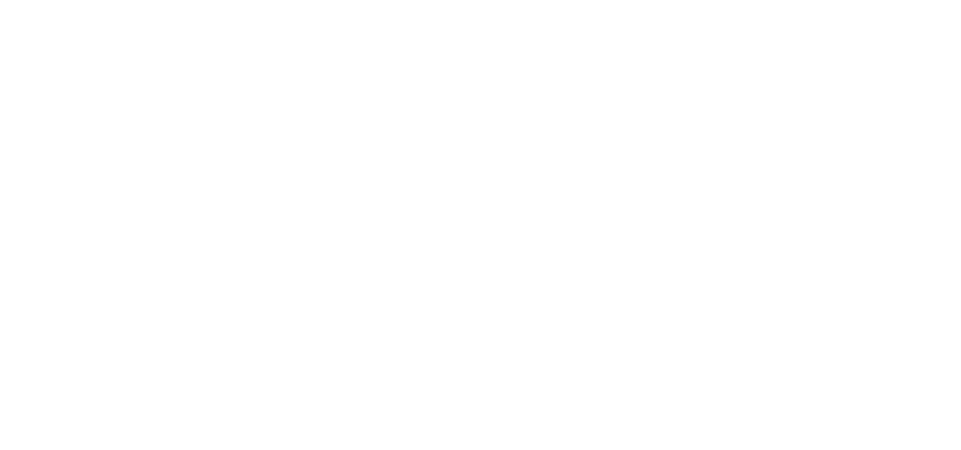 Fanatics Logo