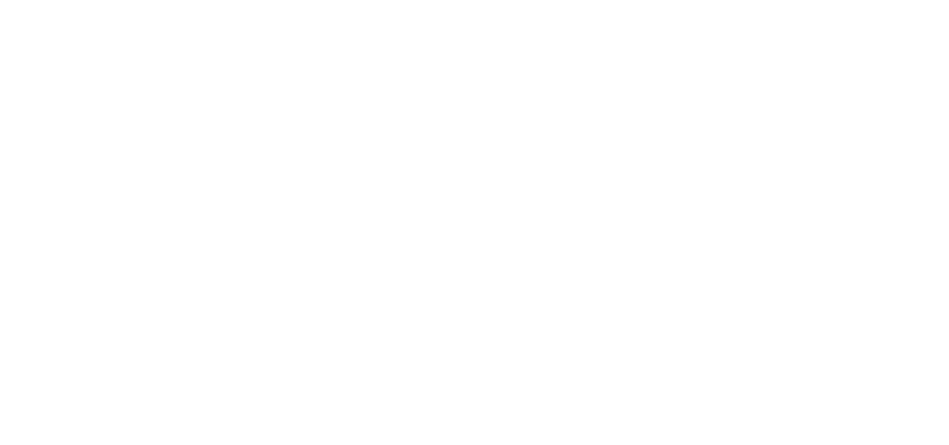 Borgwarner logo