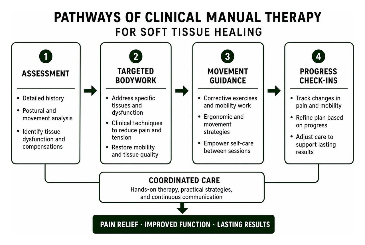 Pathways of clinical manual therapy for soft tissue healing Pathways of clinical manual therapy for soft tissue healing