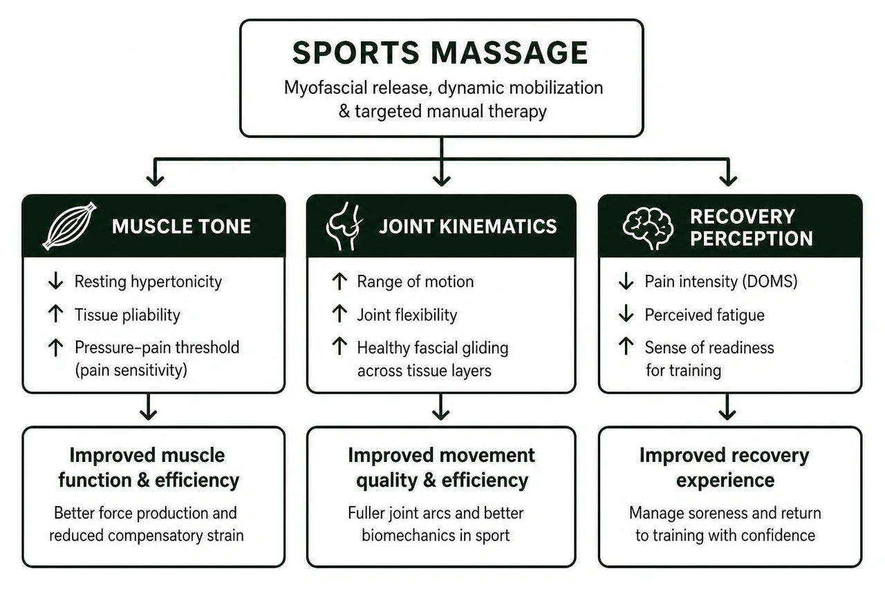 How sports massage influences muscle tone, joint kinematics, and recovery perception
