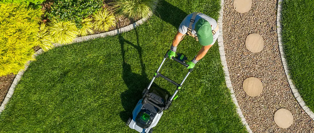 Person using an electric mower carefully cutting a lawn.