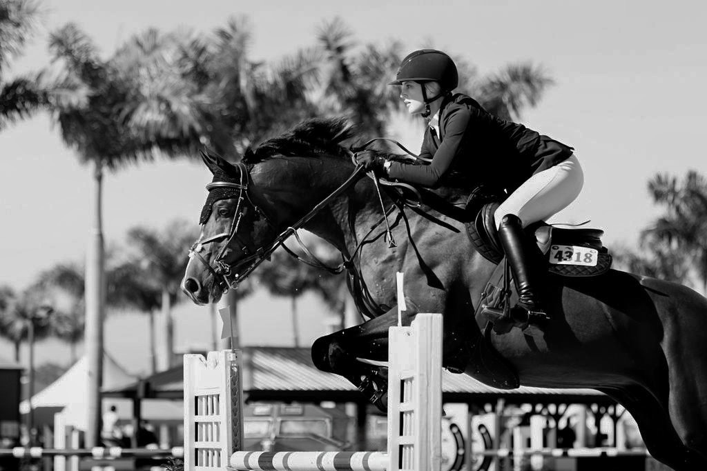 Horse and rider clearing a fence in a show jumping competition