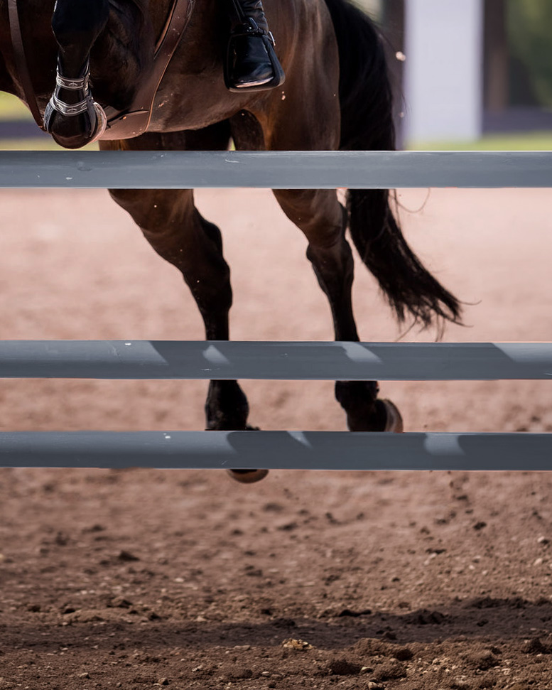 Horse jumping a fence in an outdoor arena