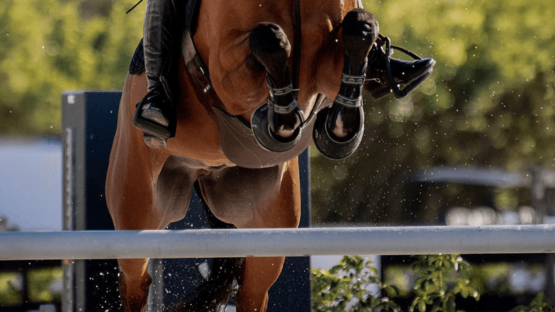 Close-up of a horse's forelegs clearing a jump