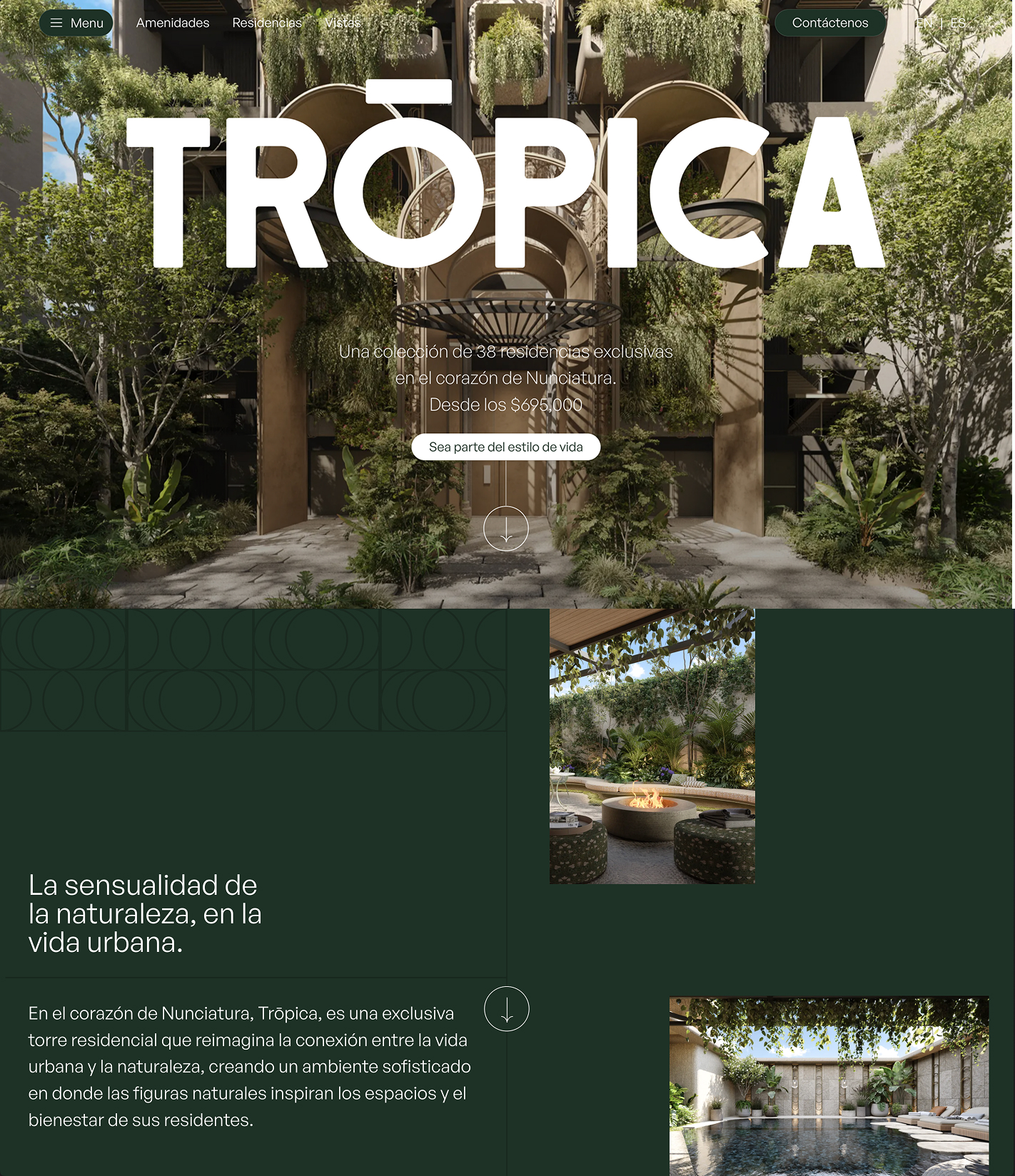 Project website screenshot