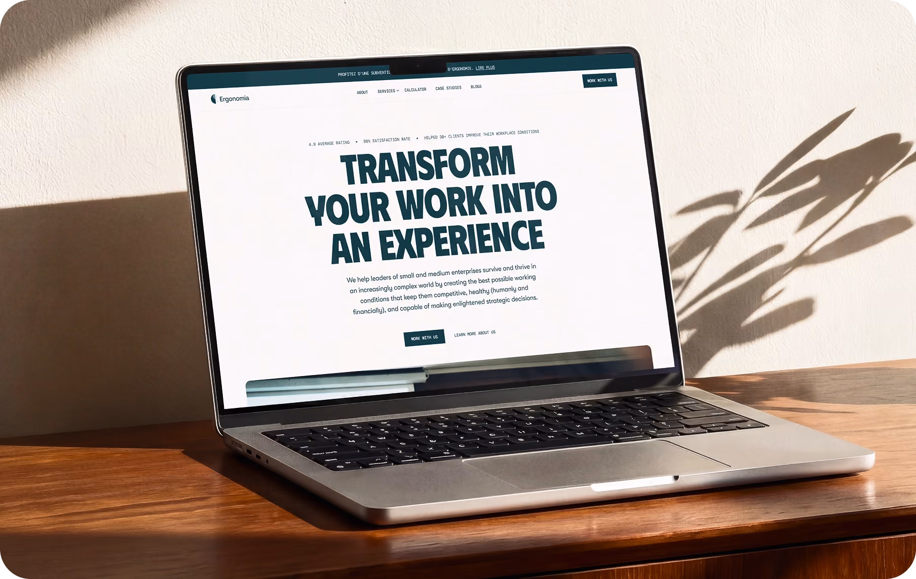 Ergonomia brand identity