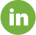 Social Media LinkedIn icon