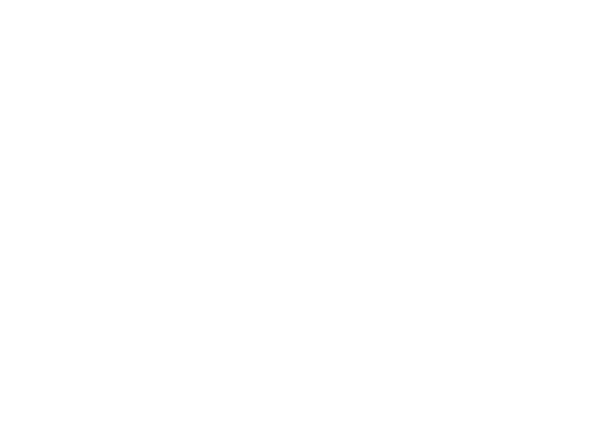 What Makes Prophet Security DIfferent?