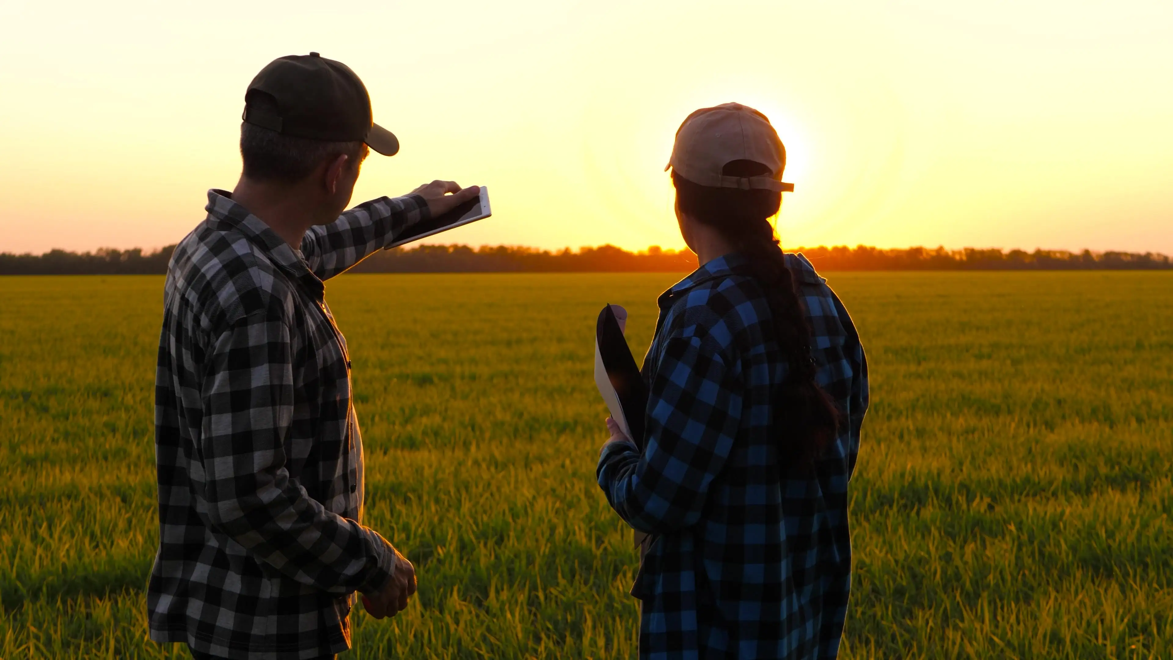 Two people looking at a field