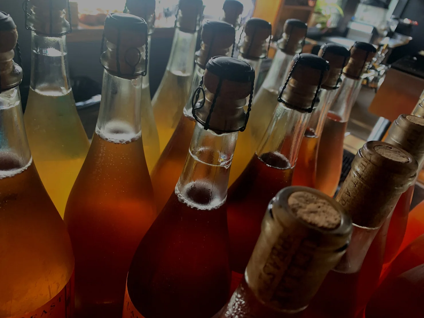 Wine 101: How to Taste