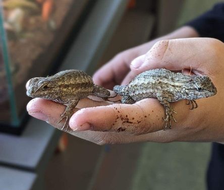 Unique Feature Image