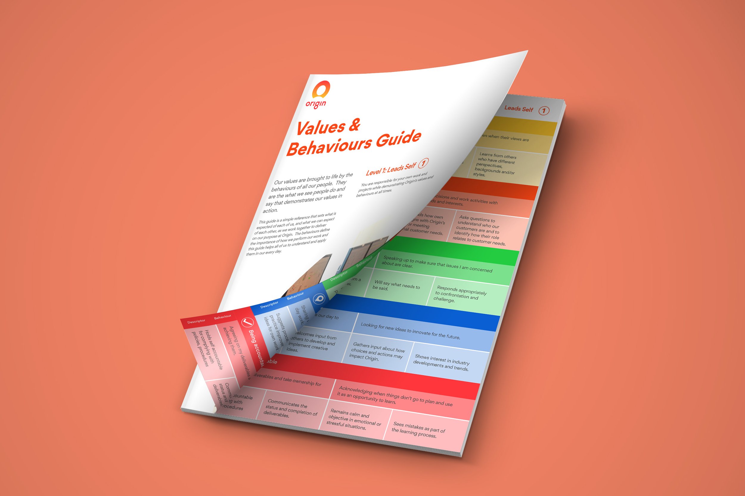 A Values and Behaviours guide for managers.